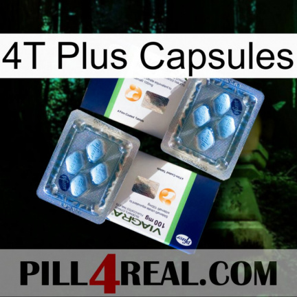 4T Plus Capsules viagra5